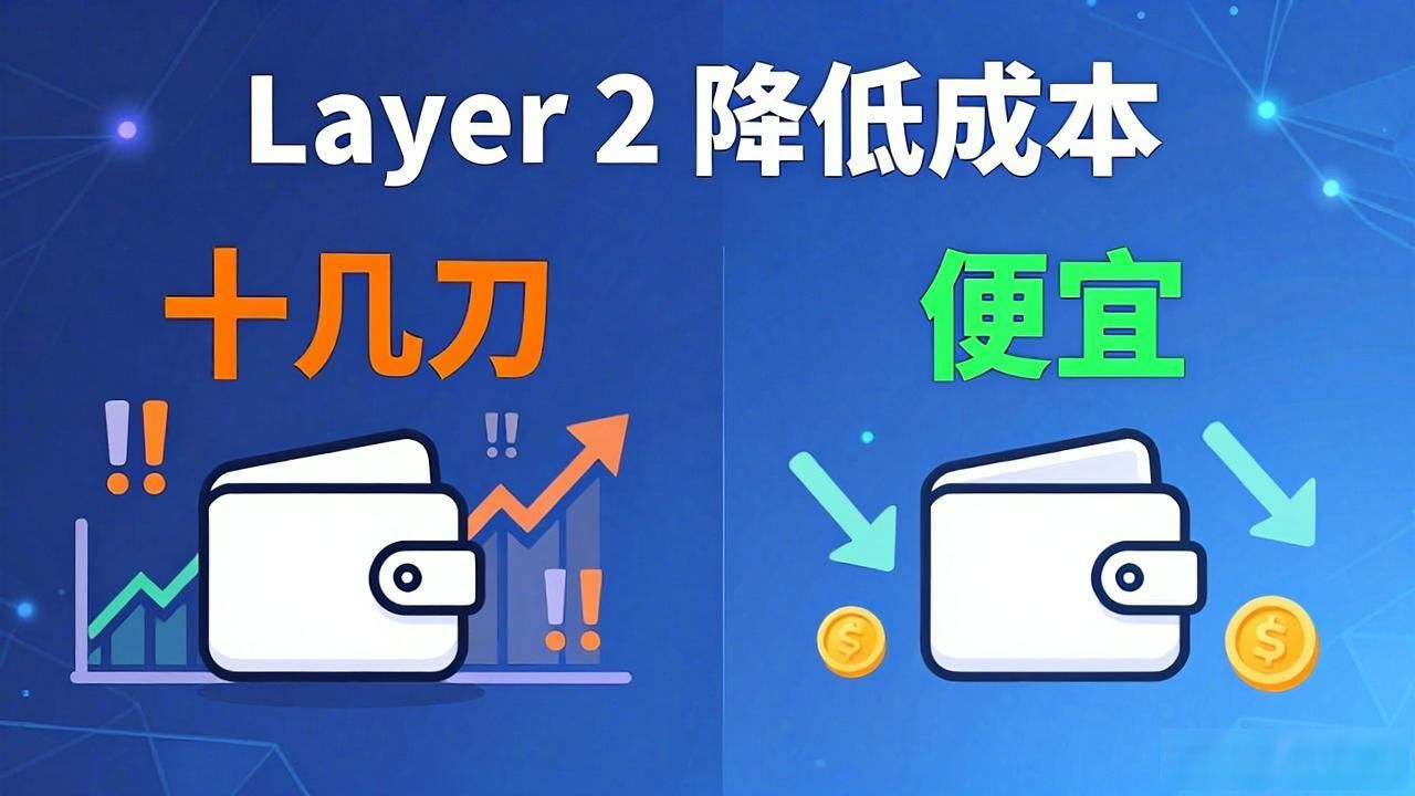 TP钱包好用吗？真实用户反馈与避坑指南